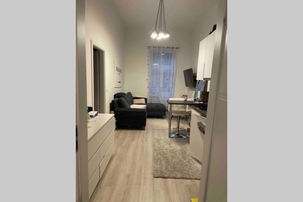 Comf. Apart Near The - 13 Minutes To 1st Apartment Wien